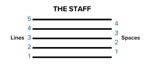 staff